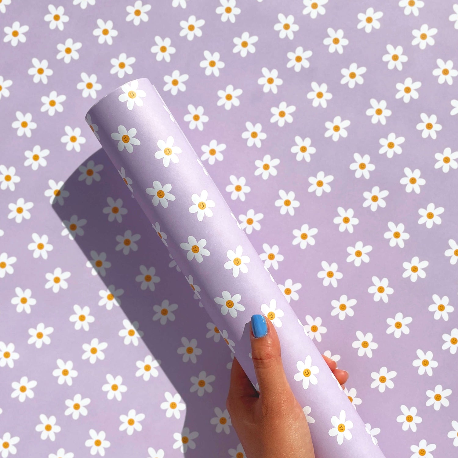 Smiling daisies wrapping paper in lilac and white, rolled in held in hand